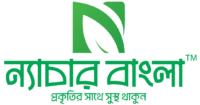 N-logo